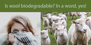 Is wool biodegradeable? In a word, yes!